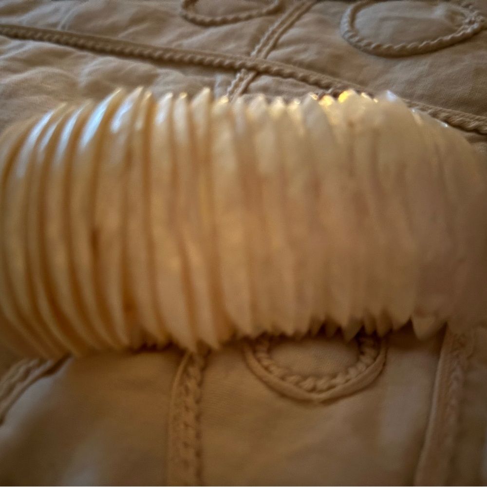 Cream Shell Disc Bracelet